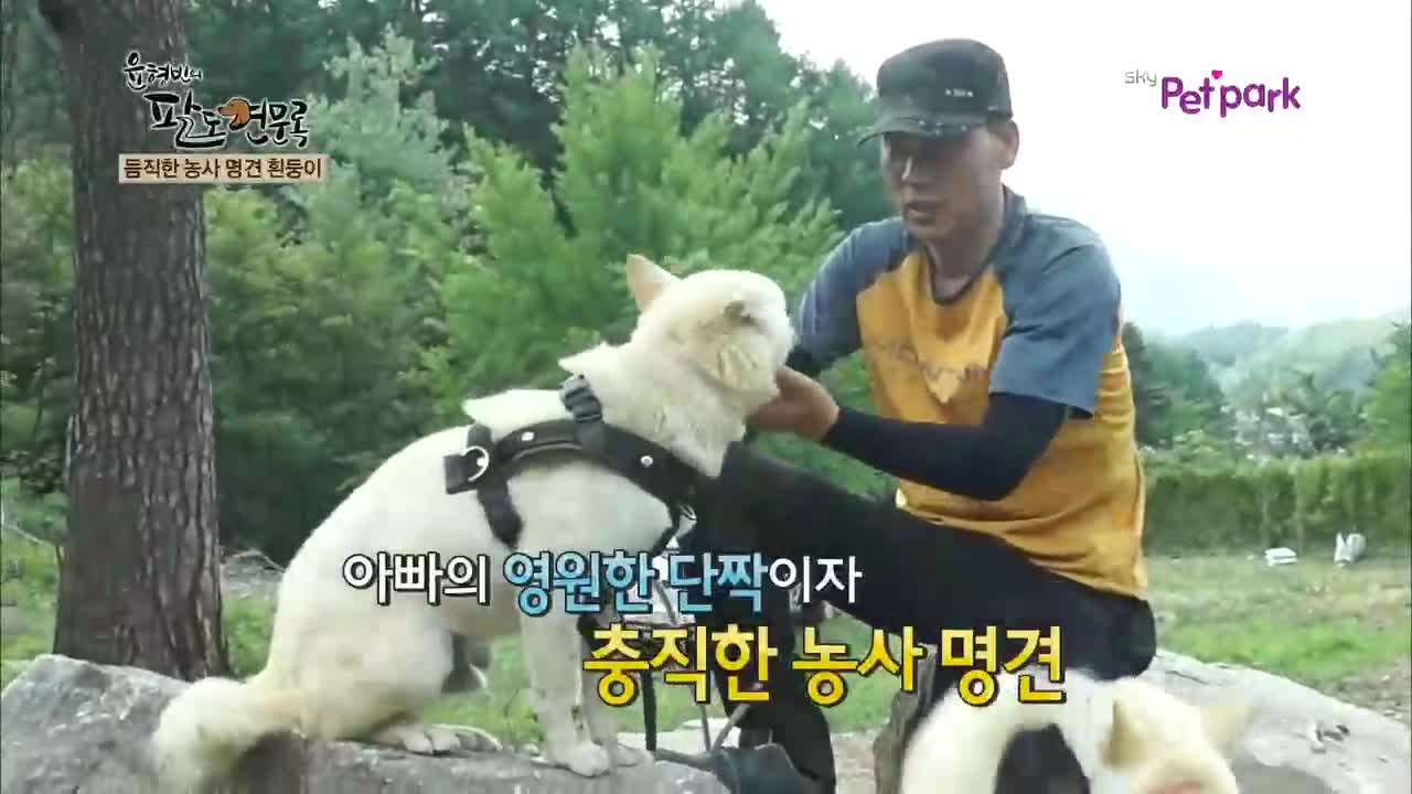 윤형빈의 팔도견문록 6