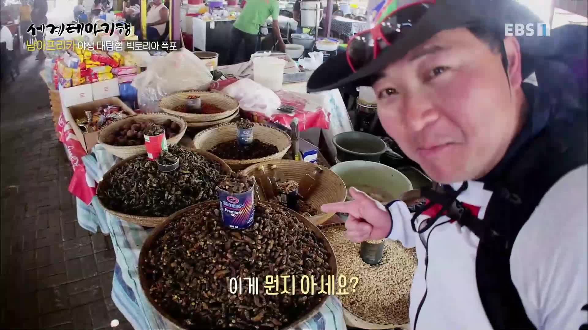 야생 대탐험 1부 아프리카의 노래 빅토리아 폭포