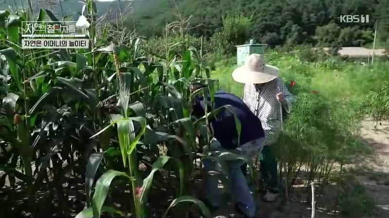 1분 미리보기