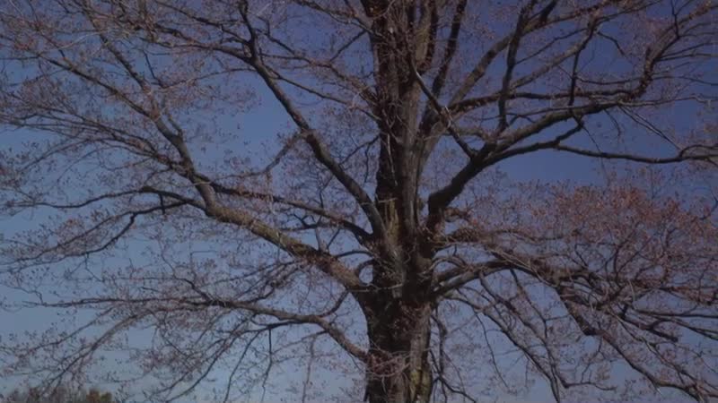 1분 미리보기