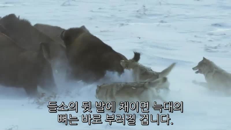 1분 미리보기