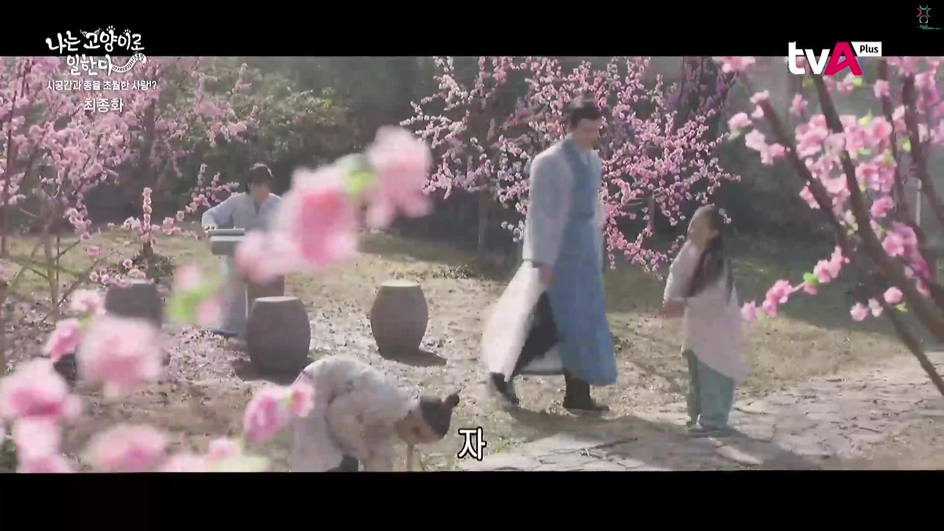 나는 고양이로 일한다 : 아재대리사당총물 22