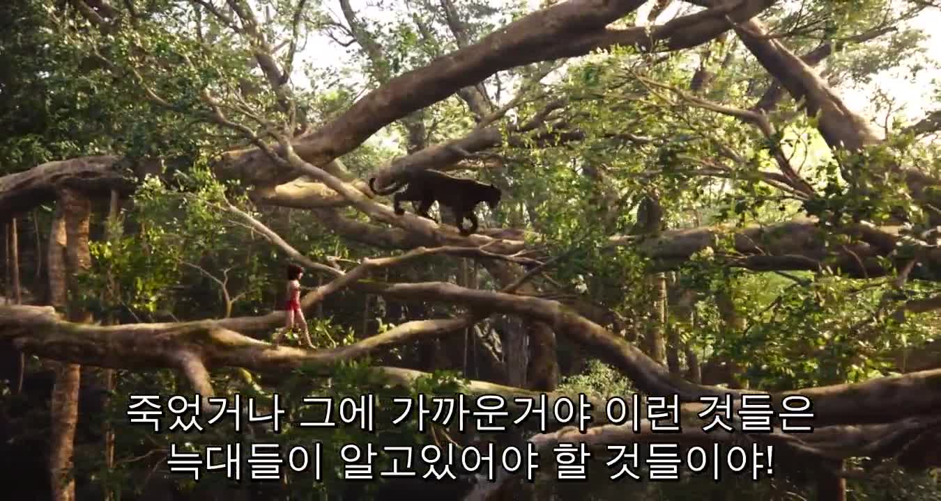 1분 미리보기