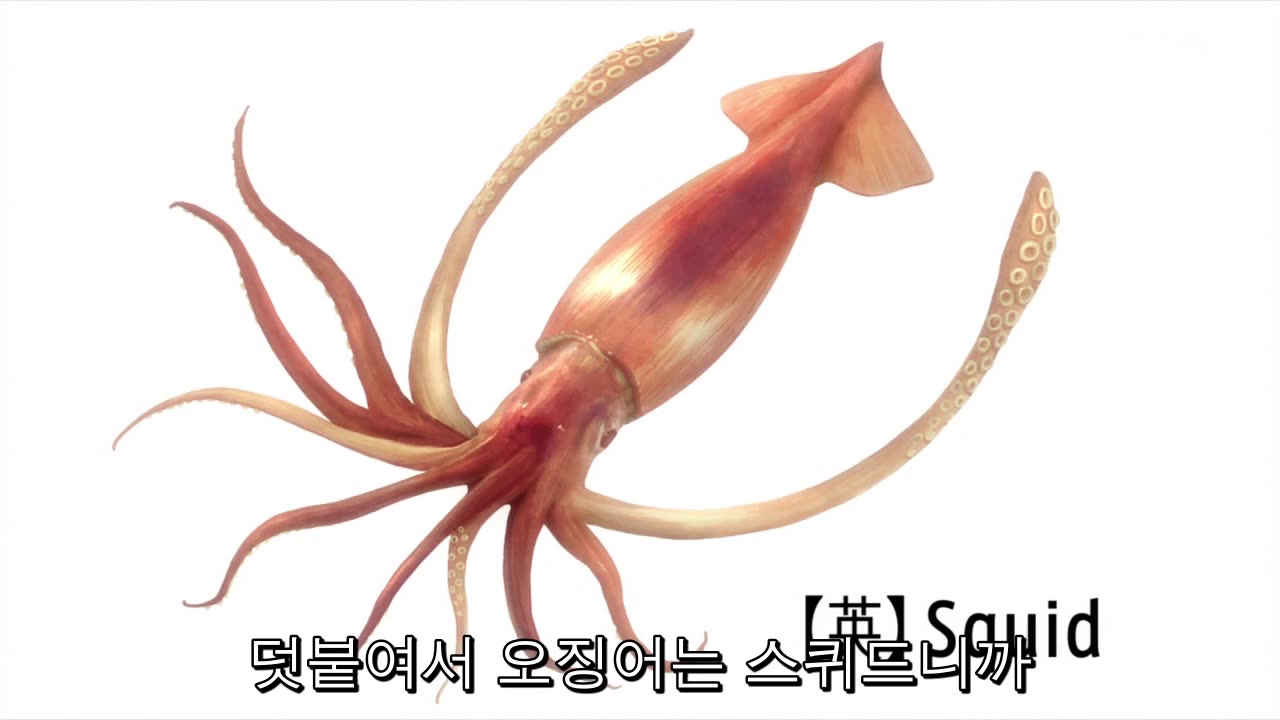 1분 미리보기