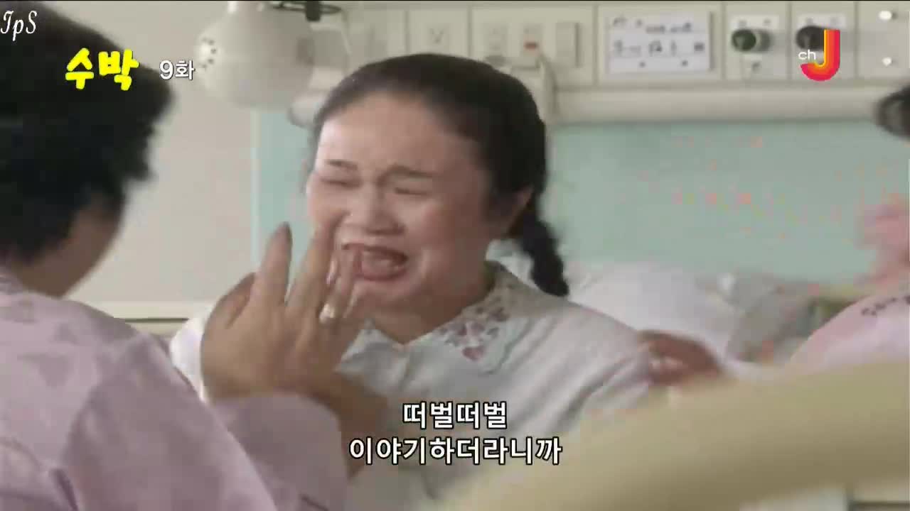 수박 9