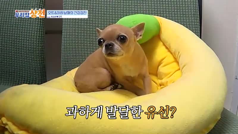 1분 미리보기