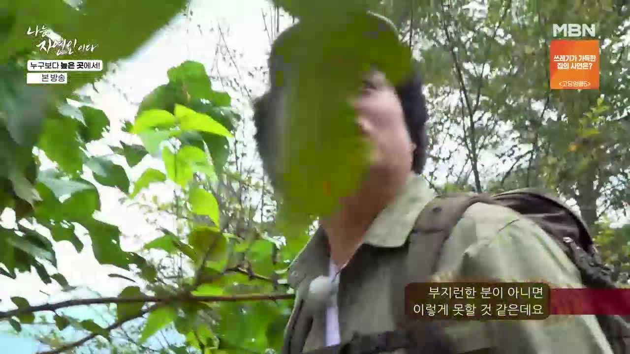 1분 미리보기