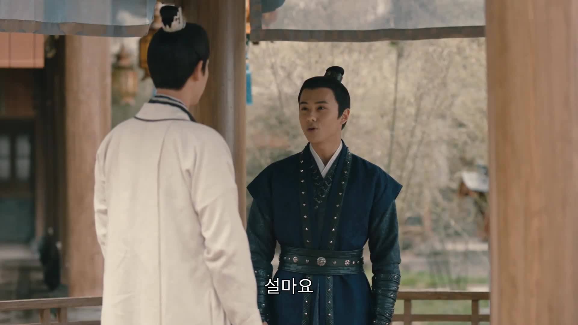 류엽적성진 : 별을 따는 버들잎 12