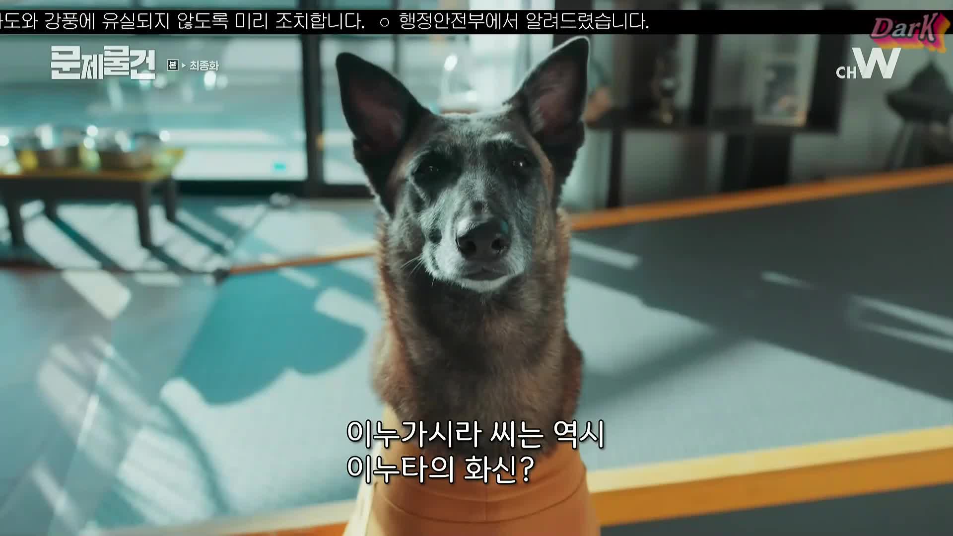 1분 미리보기
