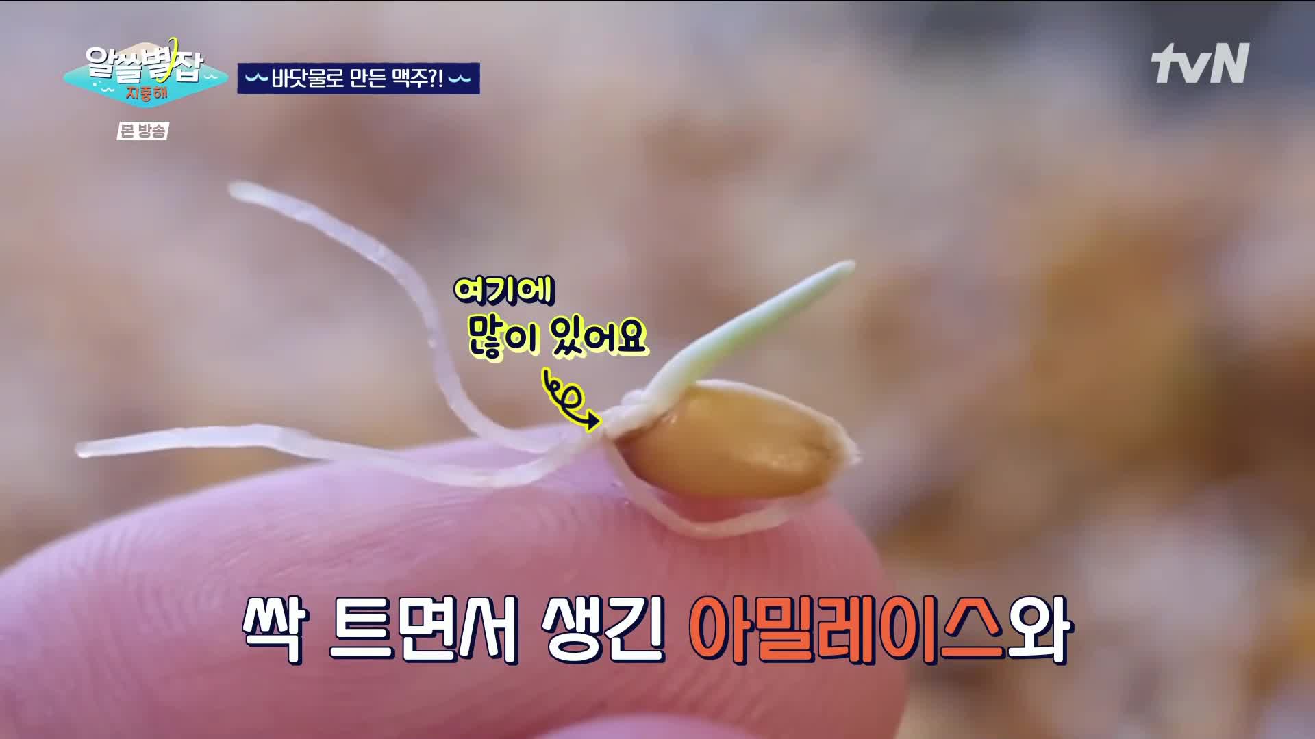 1분 미리보기