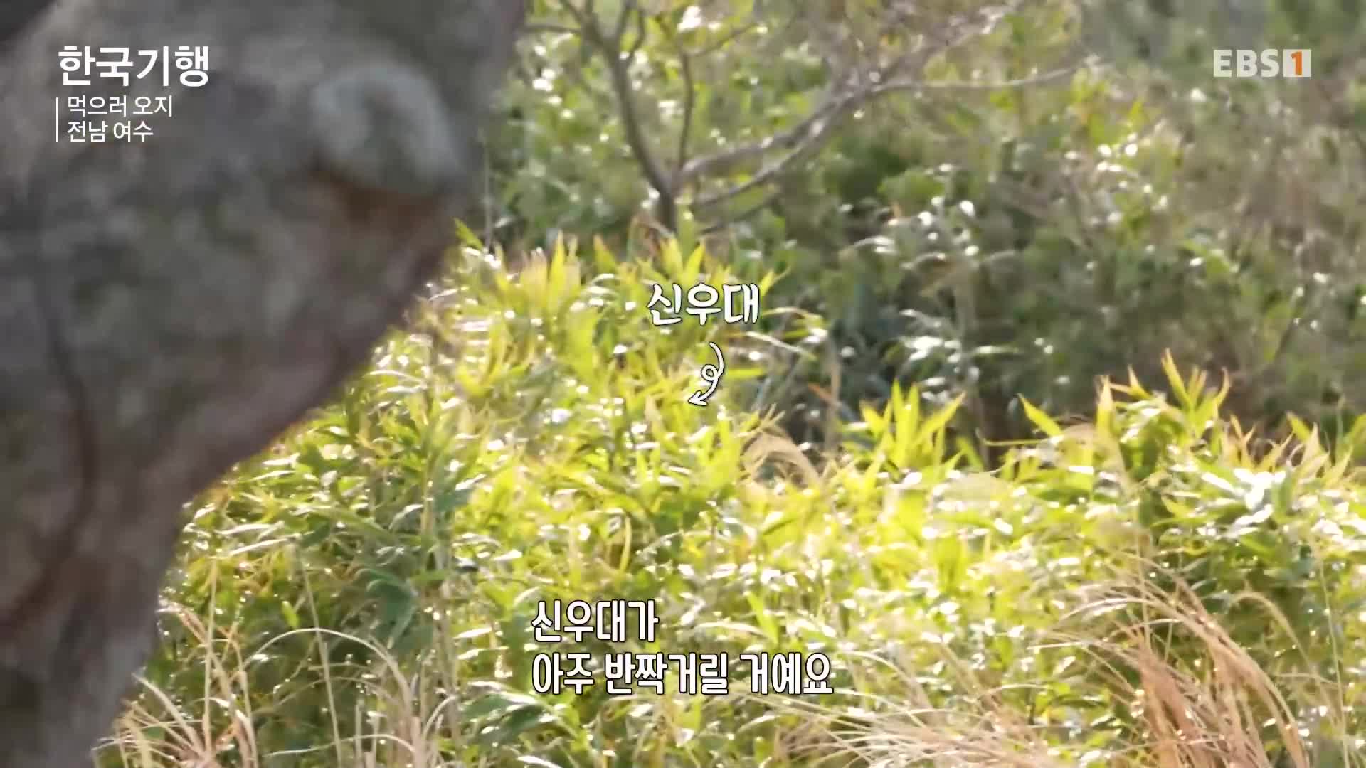 1분 미리보기