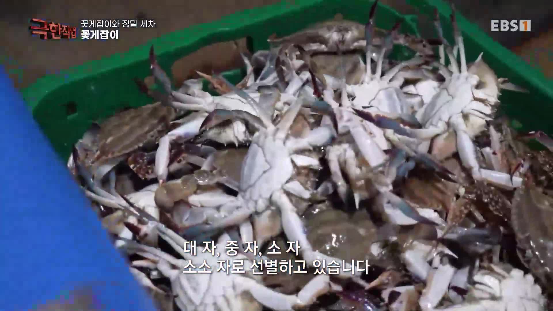 1분 미리보기