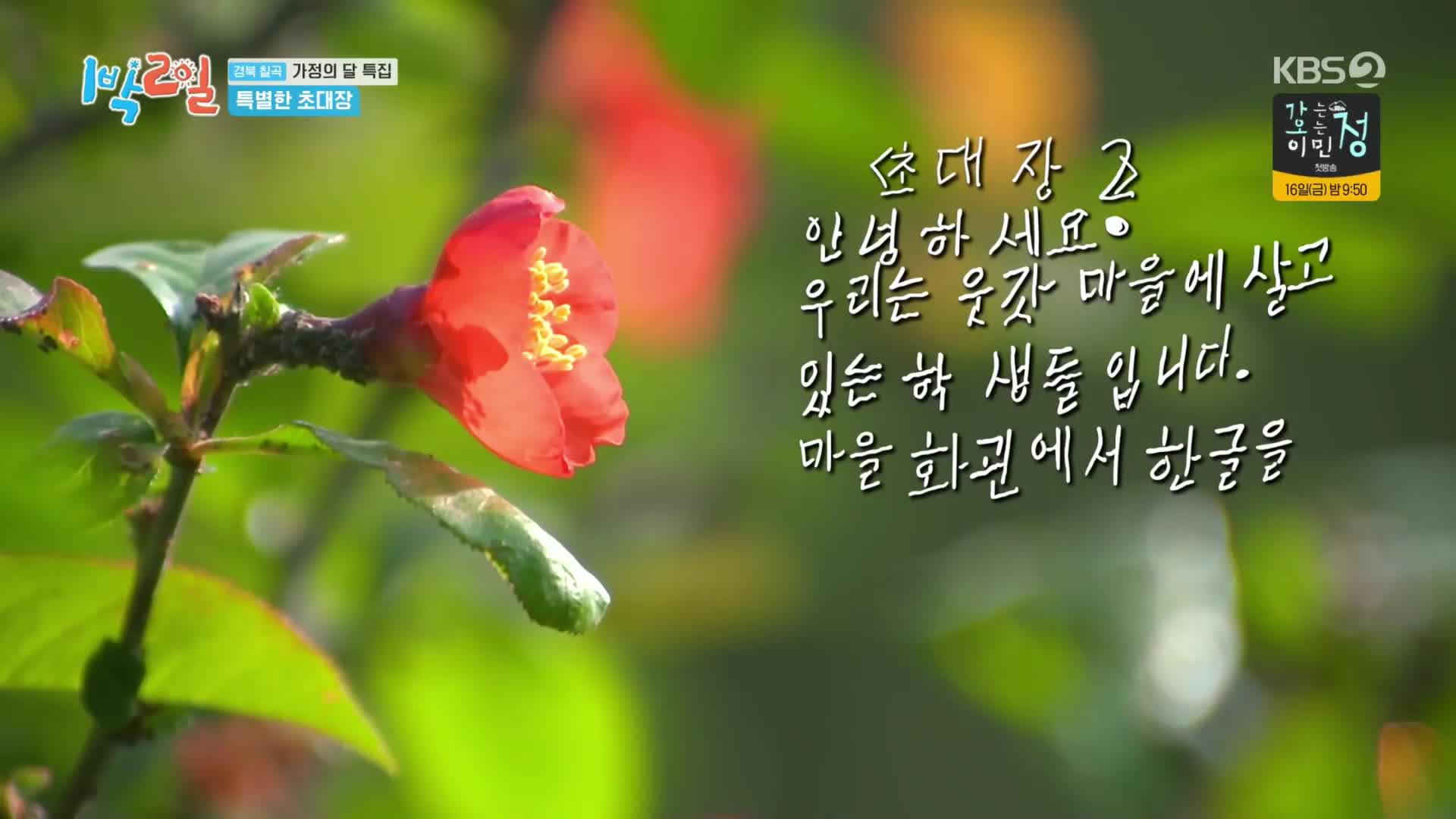1분 미리보기