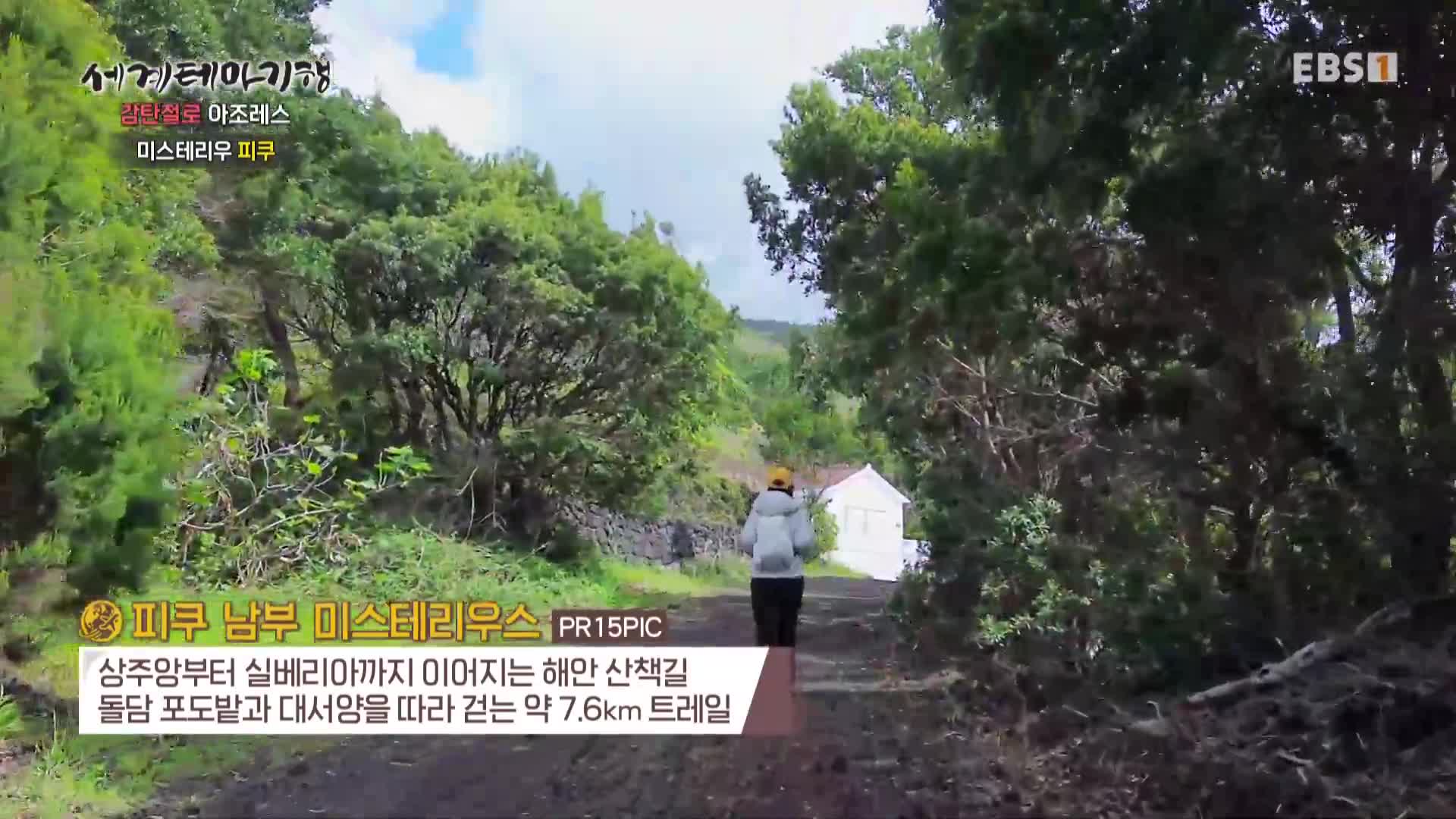 1분 미리보기