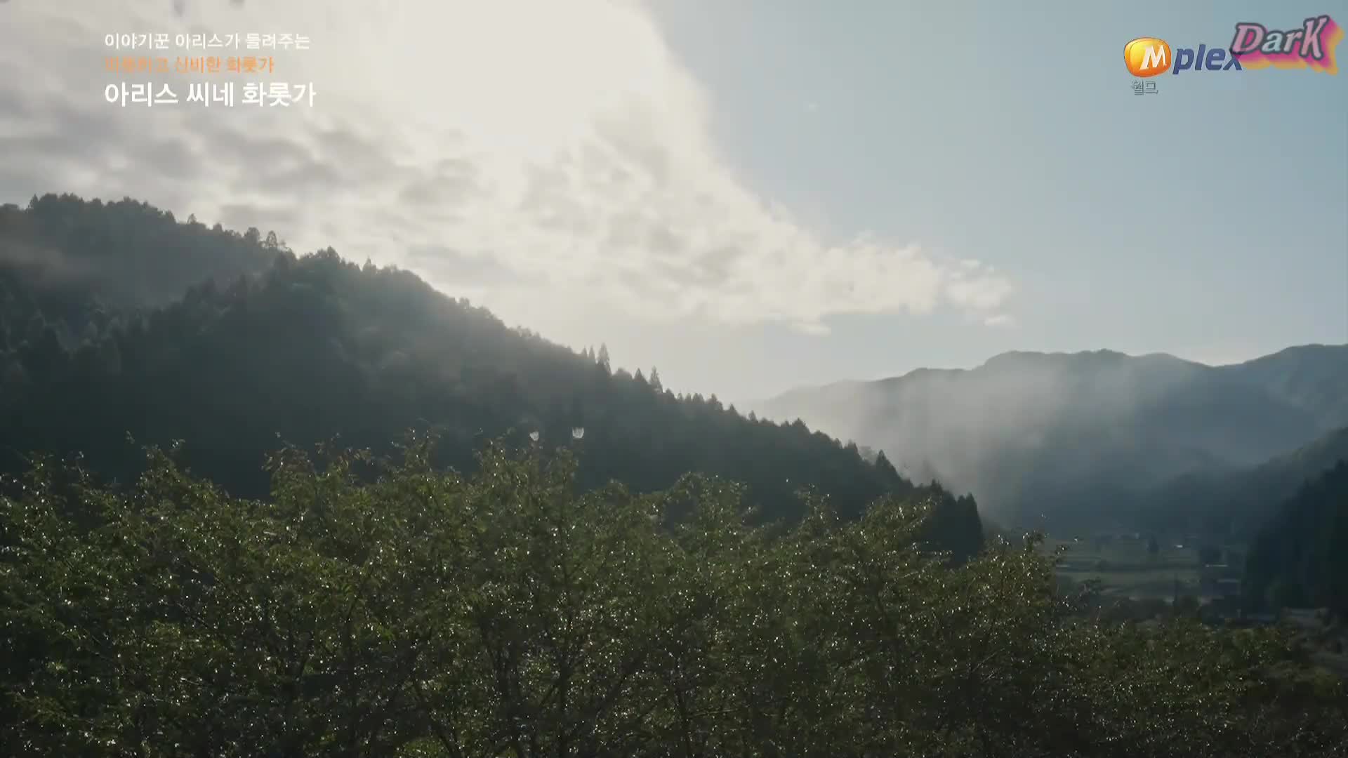1분 미리보기