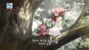 카테고리 인기콘텐츠 이미지