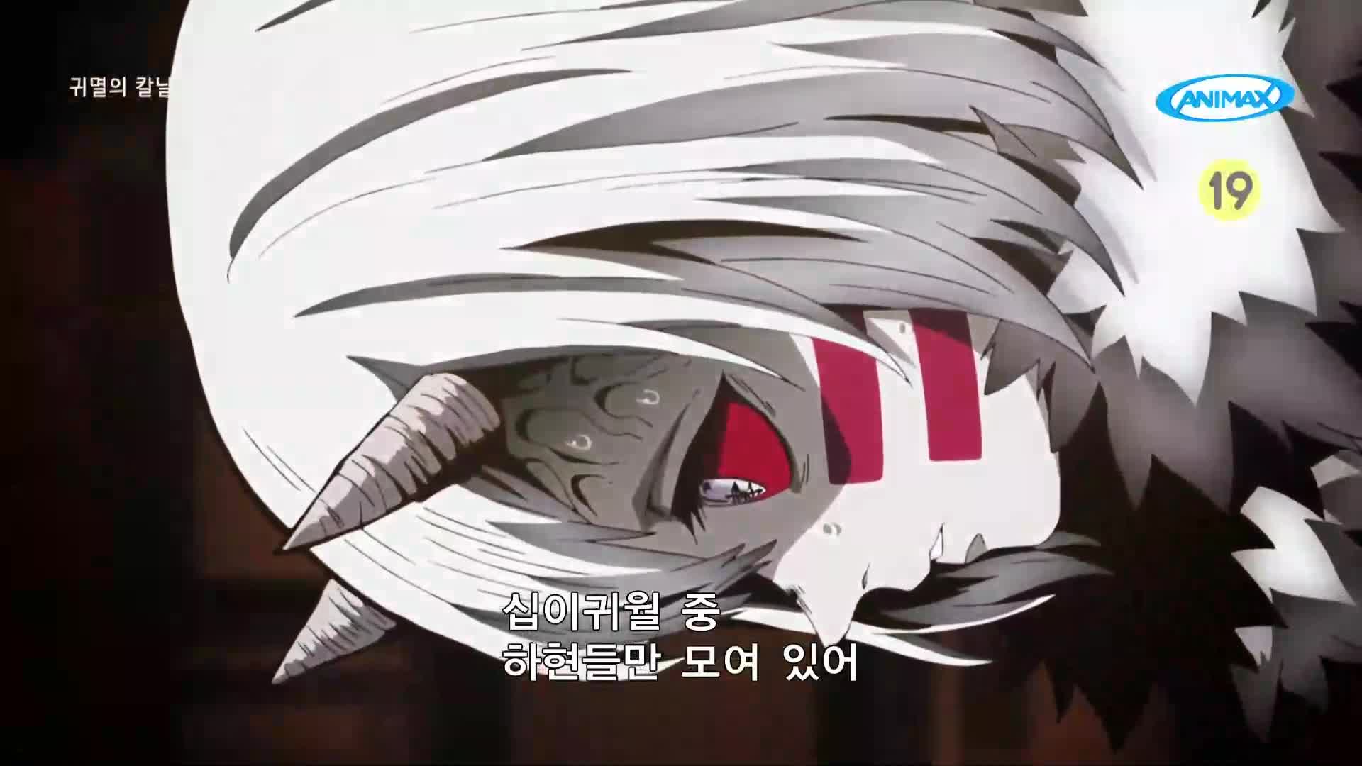 귀멸의 칼날 26