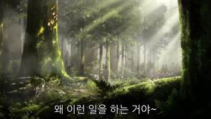 카테고리 인기콘텐츠 이미지