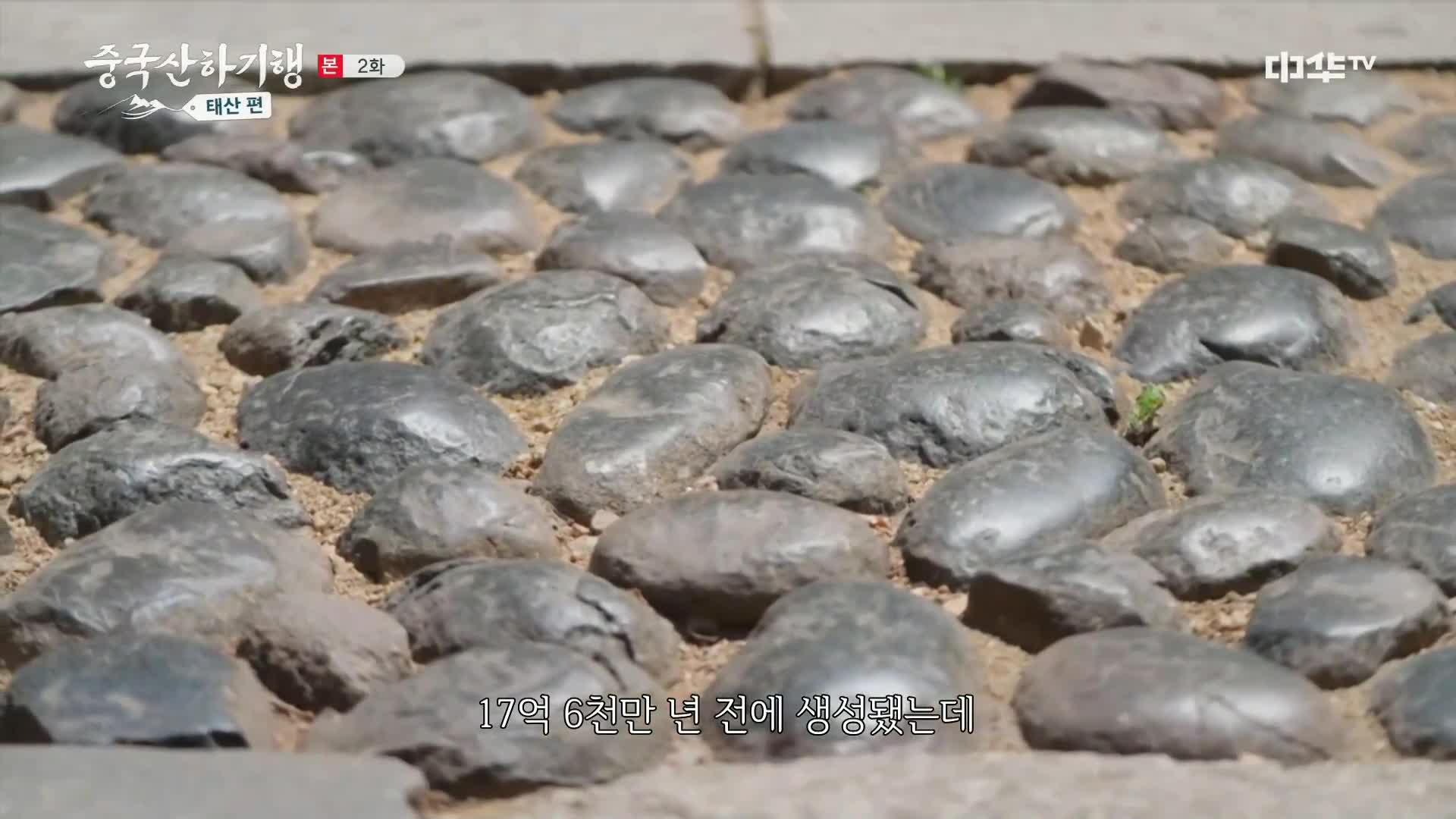 중국산하기행 : 태산 편 1