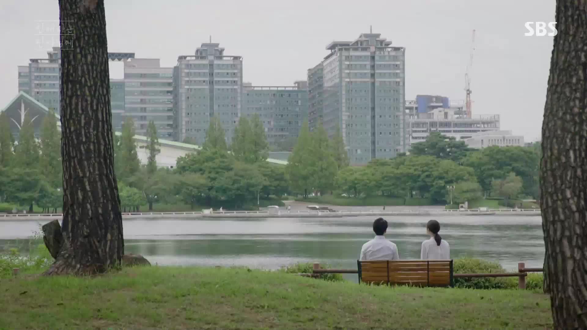 친애하는 판사님께 - 25, 26회 13