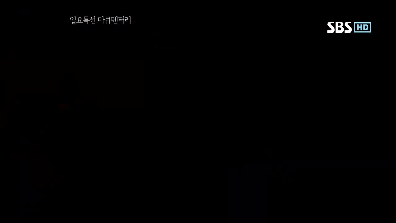 일요 특선 다큐멘터리 - 21세기 건강보고서, 질병과의 끝없는 싸움 백신 181