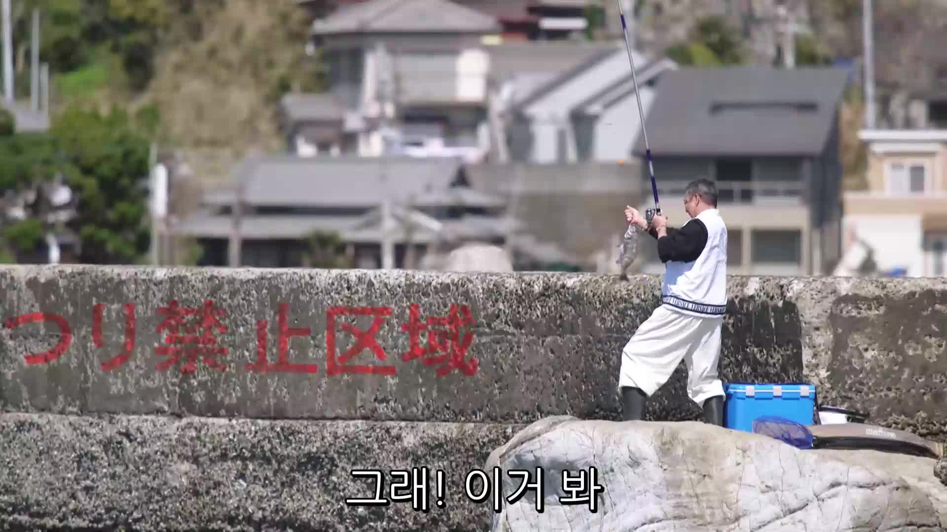 사쿠라 시즌2 완결