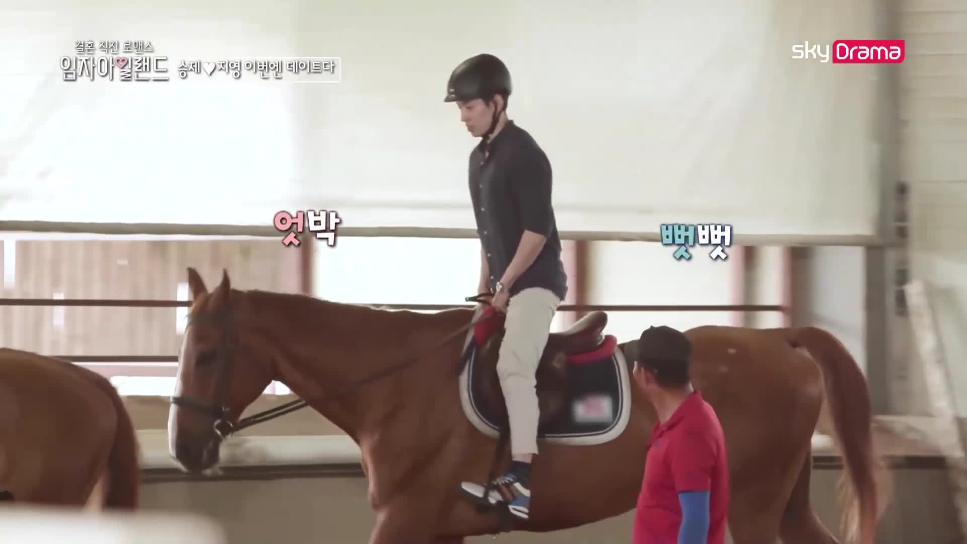임자아일랜드
