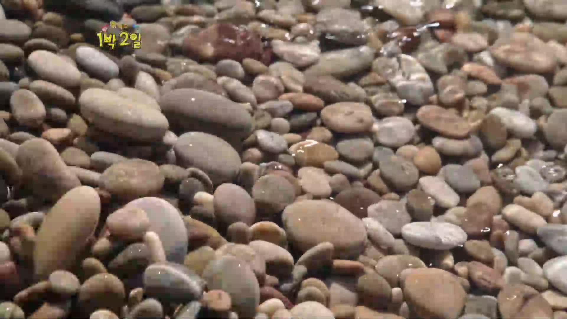 위키와 1박2일 26