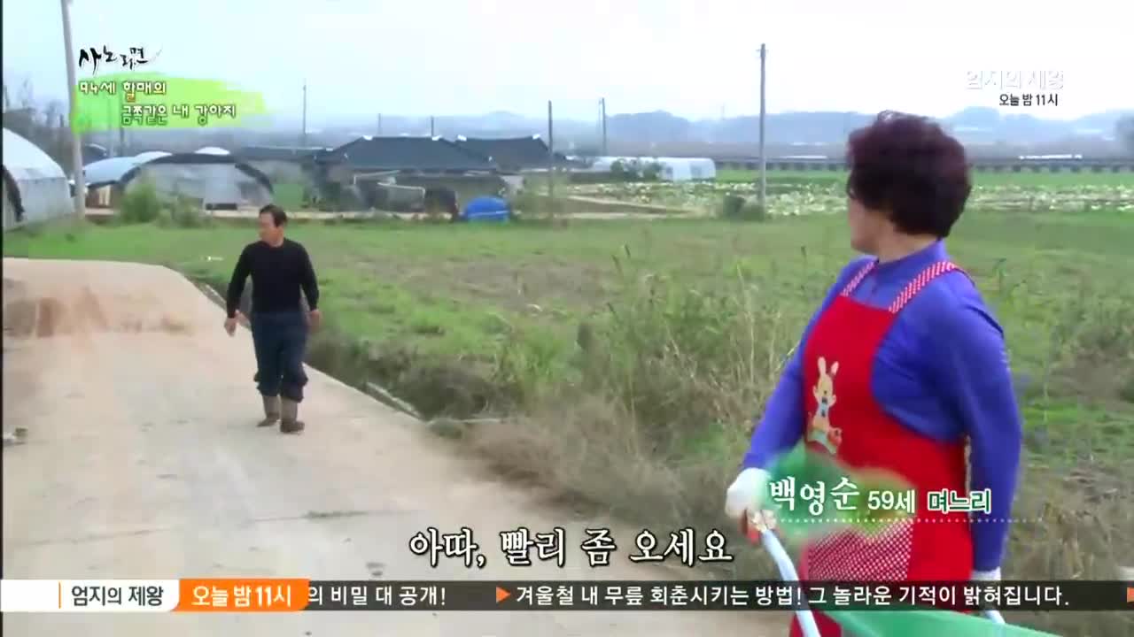 휴먼다큐 사노라면 201