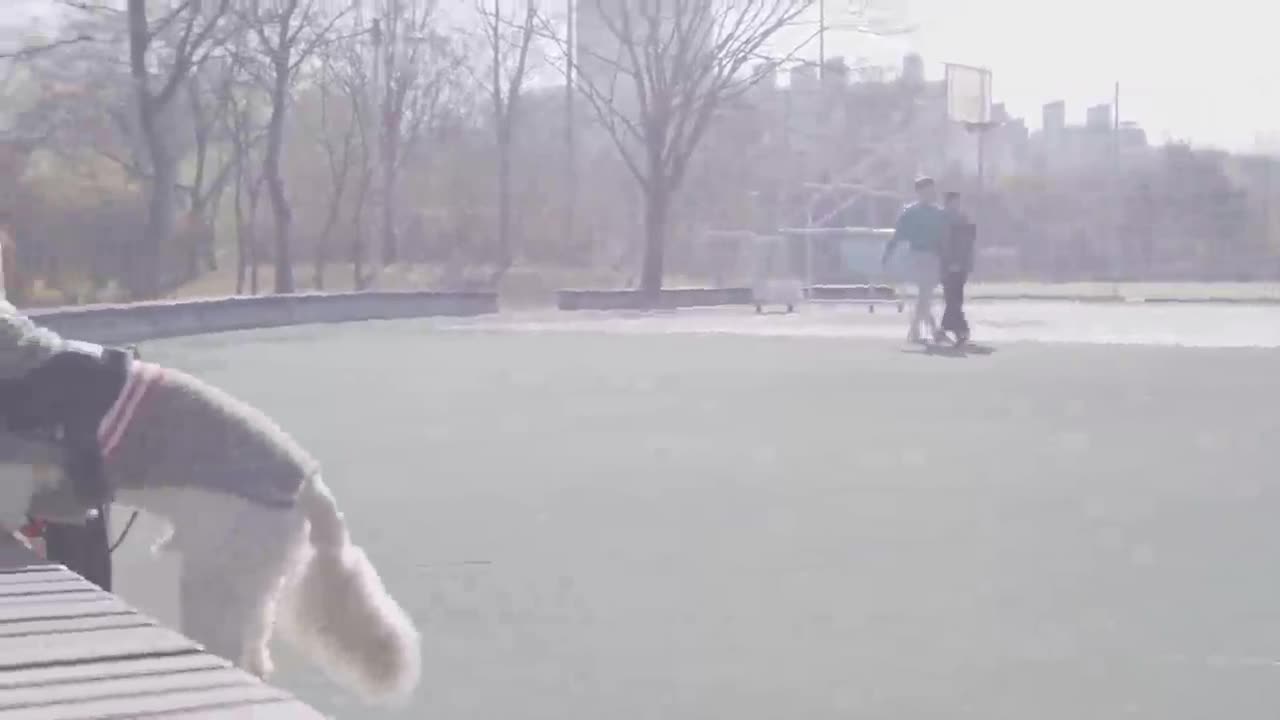 카페 킬리만자로 3
