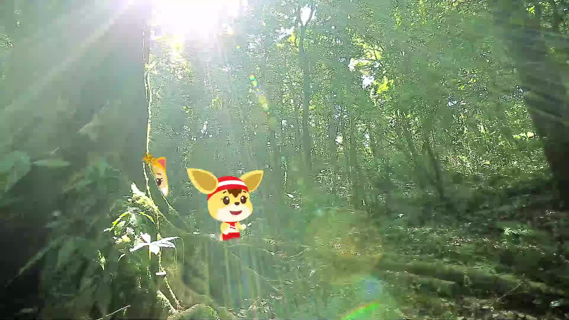 치치핑핑 동물동요 5