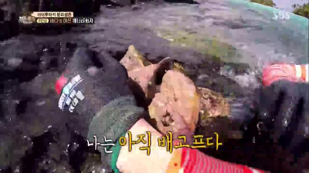 정글의 법칙 in 쿡 아일랜드 300