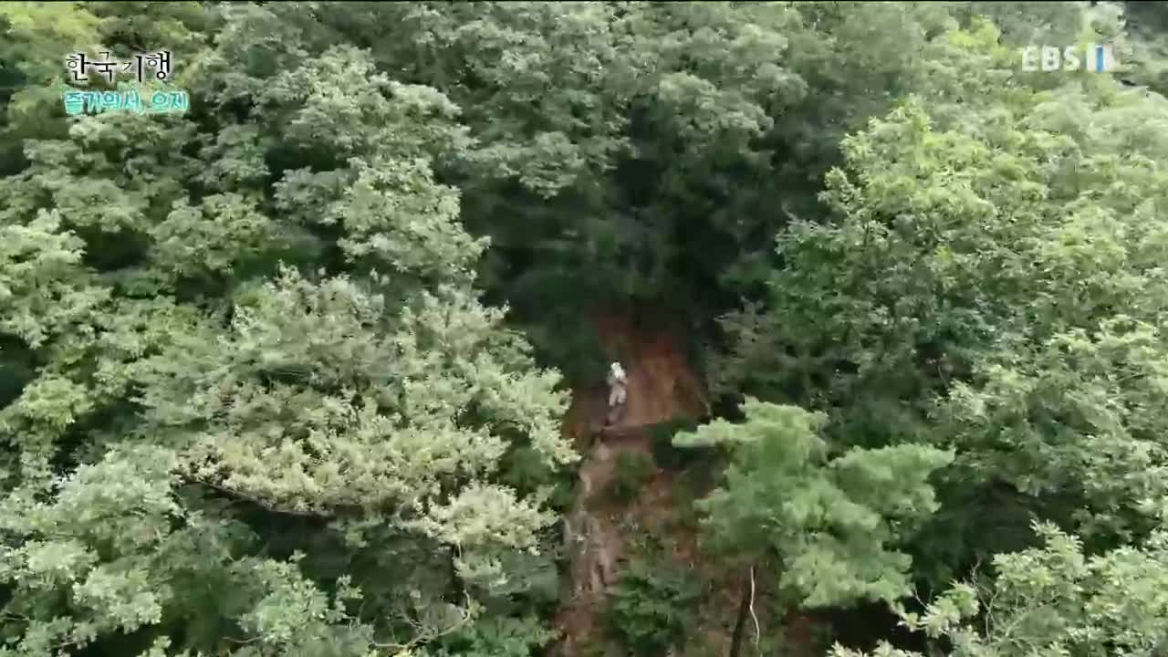E2806 즐거워서, 오지 3부 산속 오솔길 따라가면 200930 HDTV MPEG2 1080i-kok