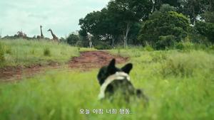 카테고리 인기콘텐츠 이미지